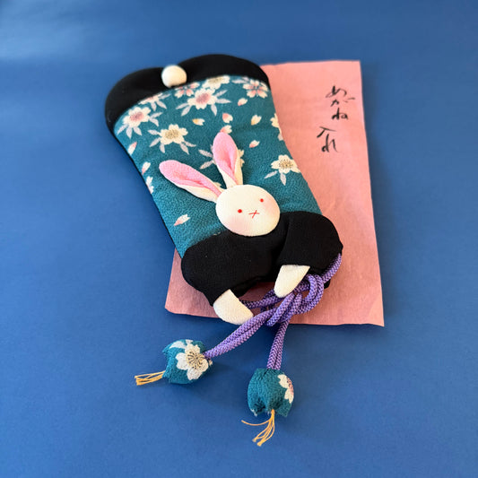 Rabbit Eyeglasses Case